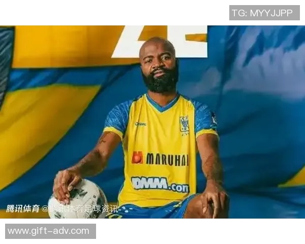 2010年喀麦隆足球队明星球员回顾与分析：技术、表现与影响力